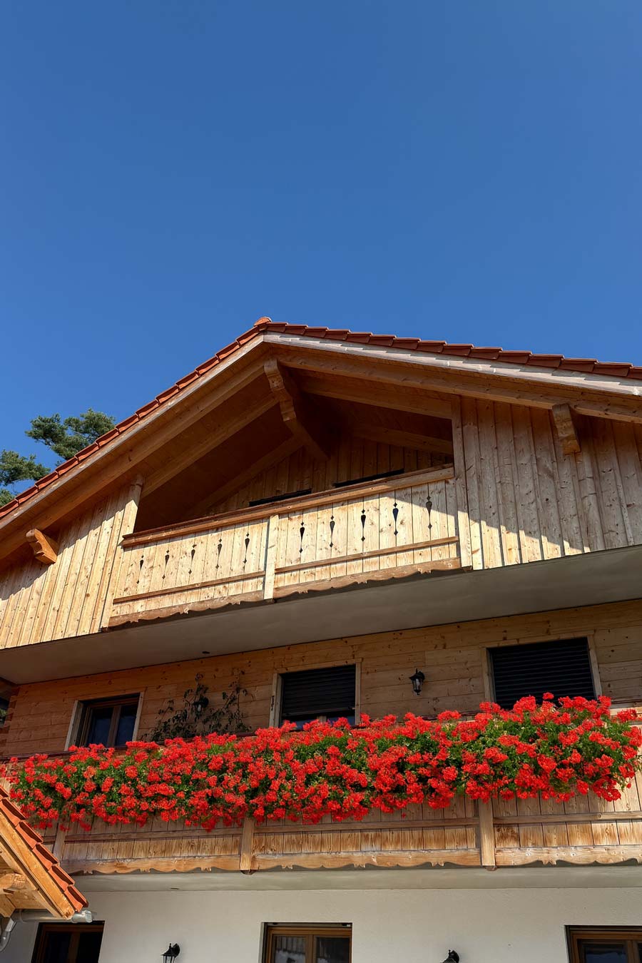 Balkon mit Holzgeländer und roten Geranien