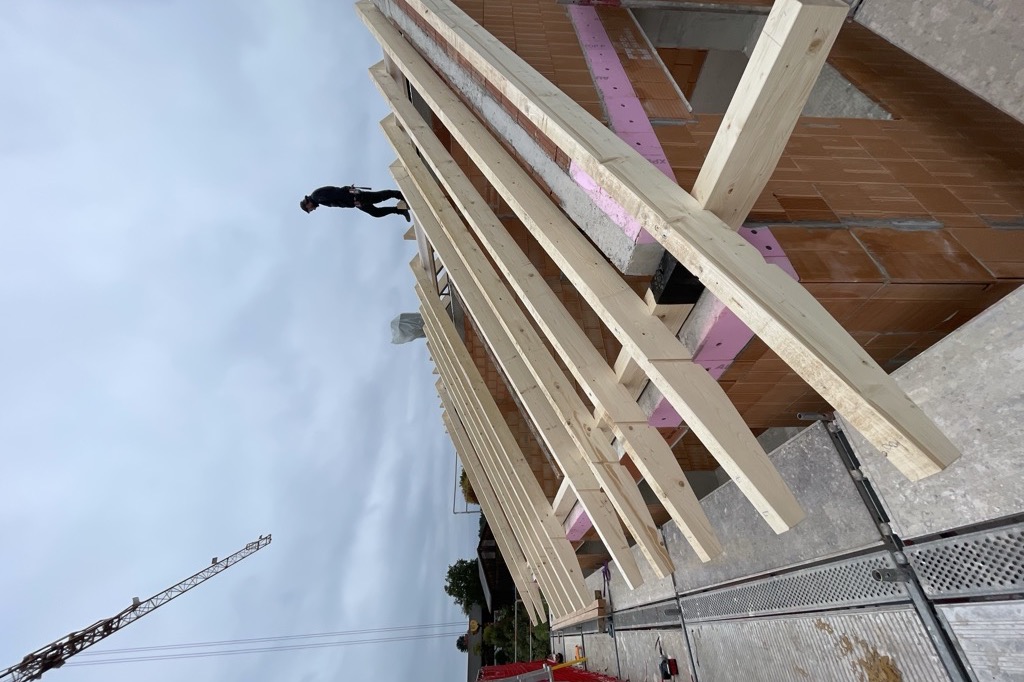 Einbau Dachsparren