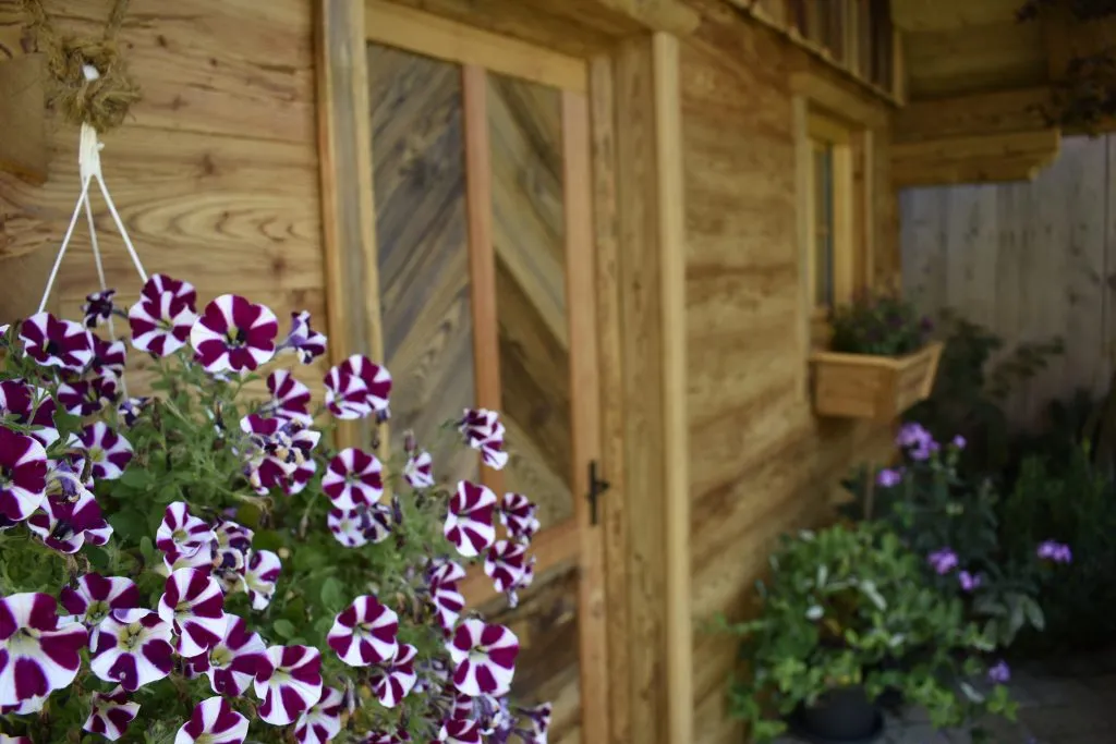 Nahaufnahme eines Gartenhauses aus Holz, Blumenkübel links im Vordergrund